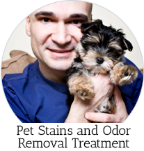 pet stain & odor cleaning