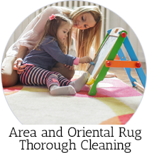 area rug cleaning